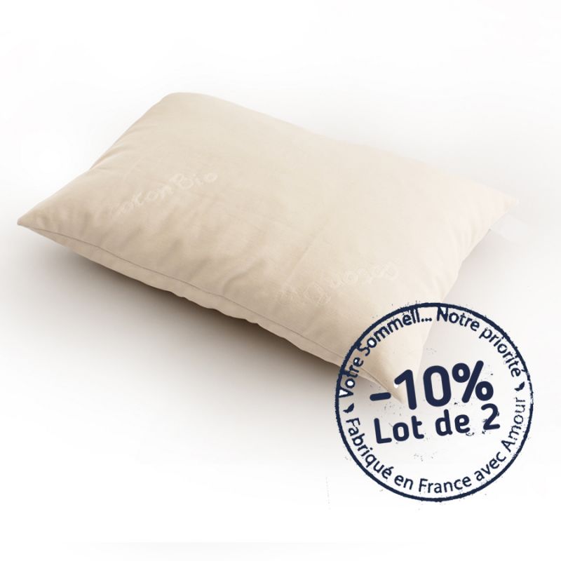 Oreiller 65x65 Lot de 2 pour Le Lit Coussins pour Dormir et