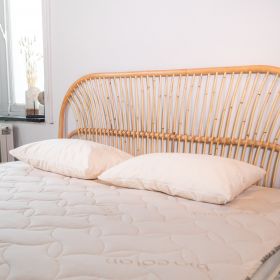 Oreiller Bio ferme