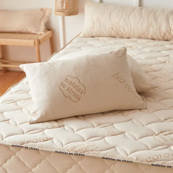 sommier-morphologique