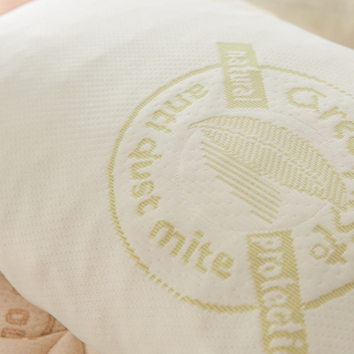 Oreiller 40x60 traité Anti acarien Greenfirst