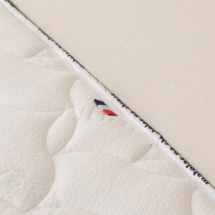 Bambou détail France