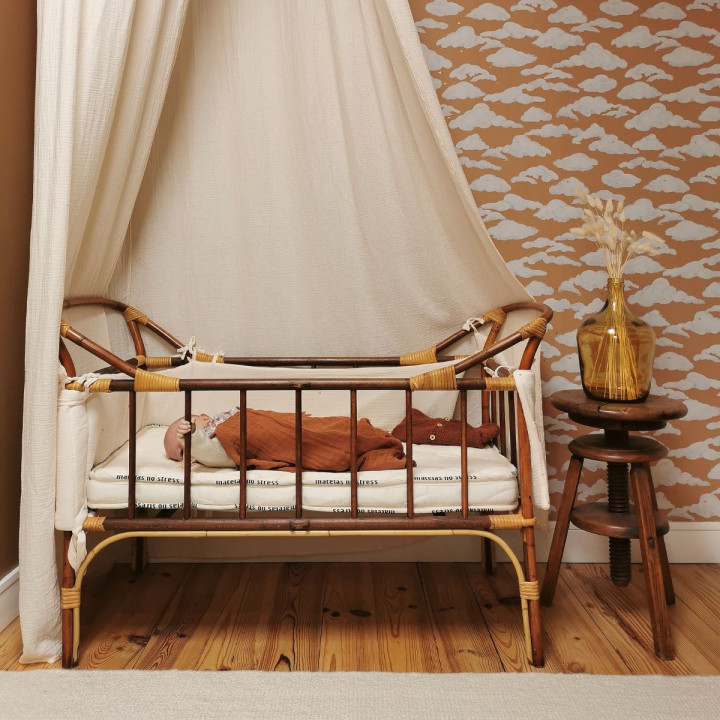 Matelas en fibres de coco 6 cm50x90