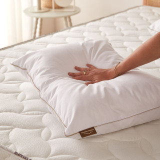 Oreiller mi ferme haut de gamme en duvet extra gonflant