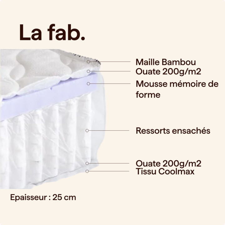 coupe-RESS_18+VISCO-4_BAMBOU-S