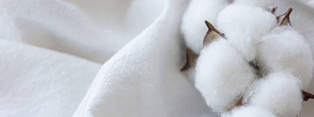 Coton biologique