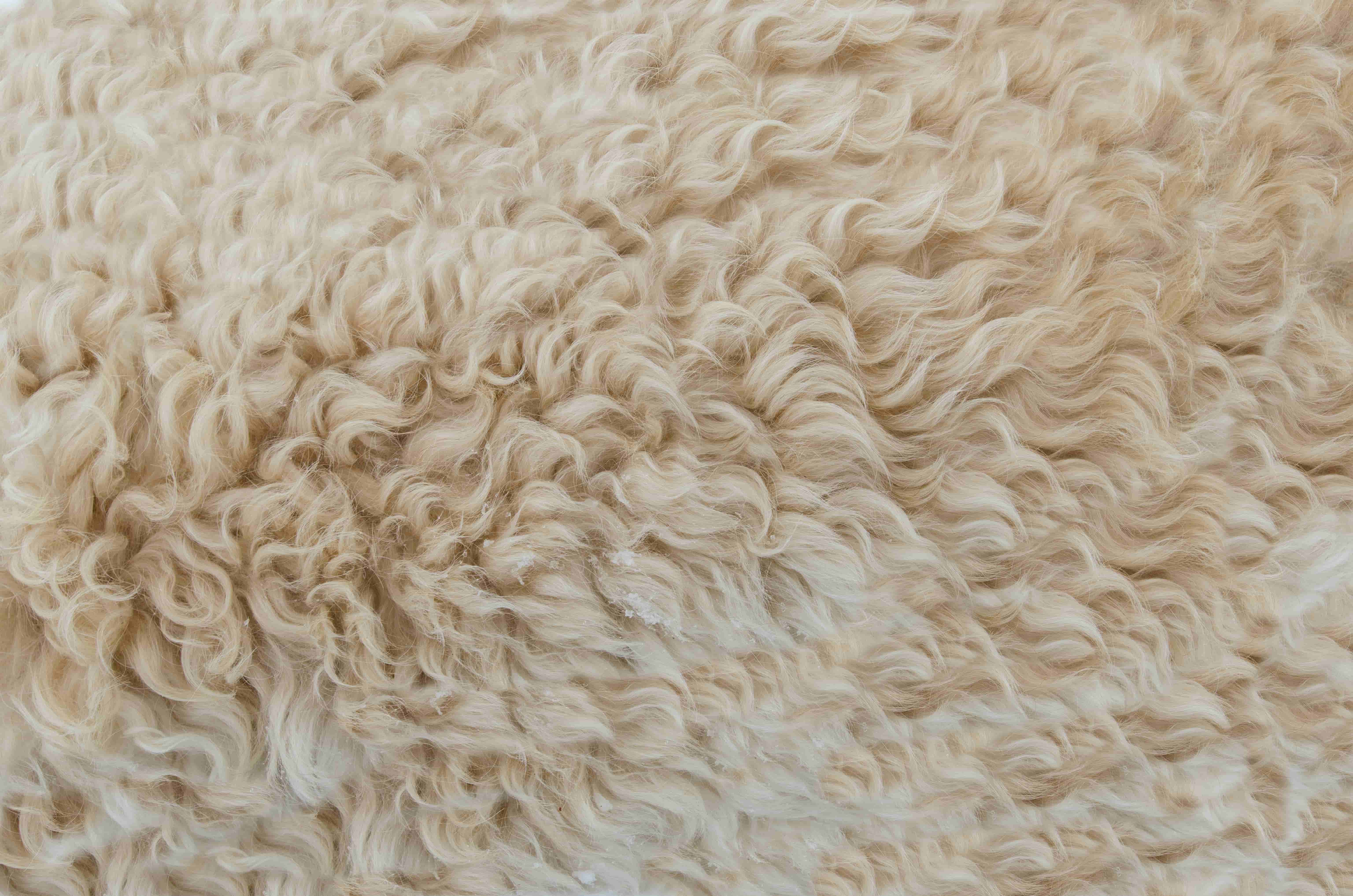 laine blanche naturelle matelas nos stress