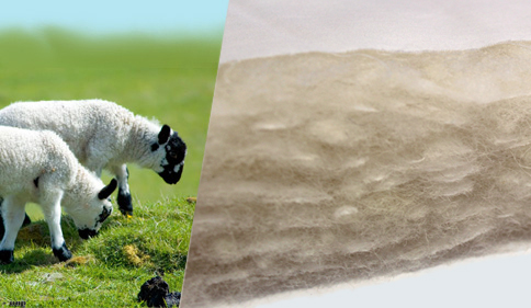 Couette naturelle en laine