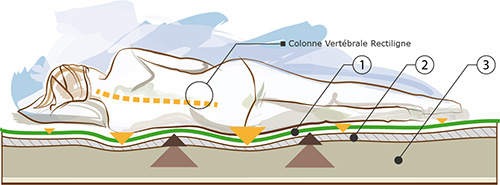 matelas en latex 5 zones de confort souple