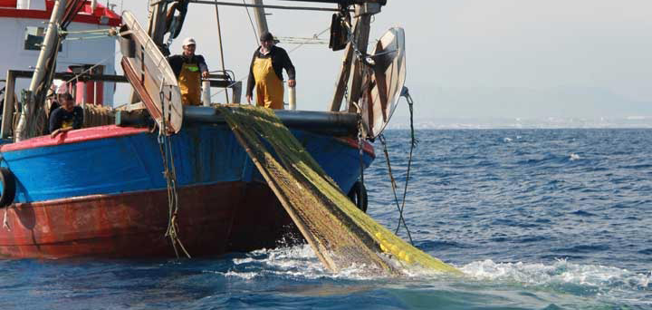 récuperation des plastiques en mer