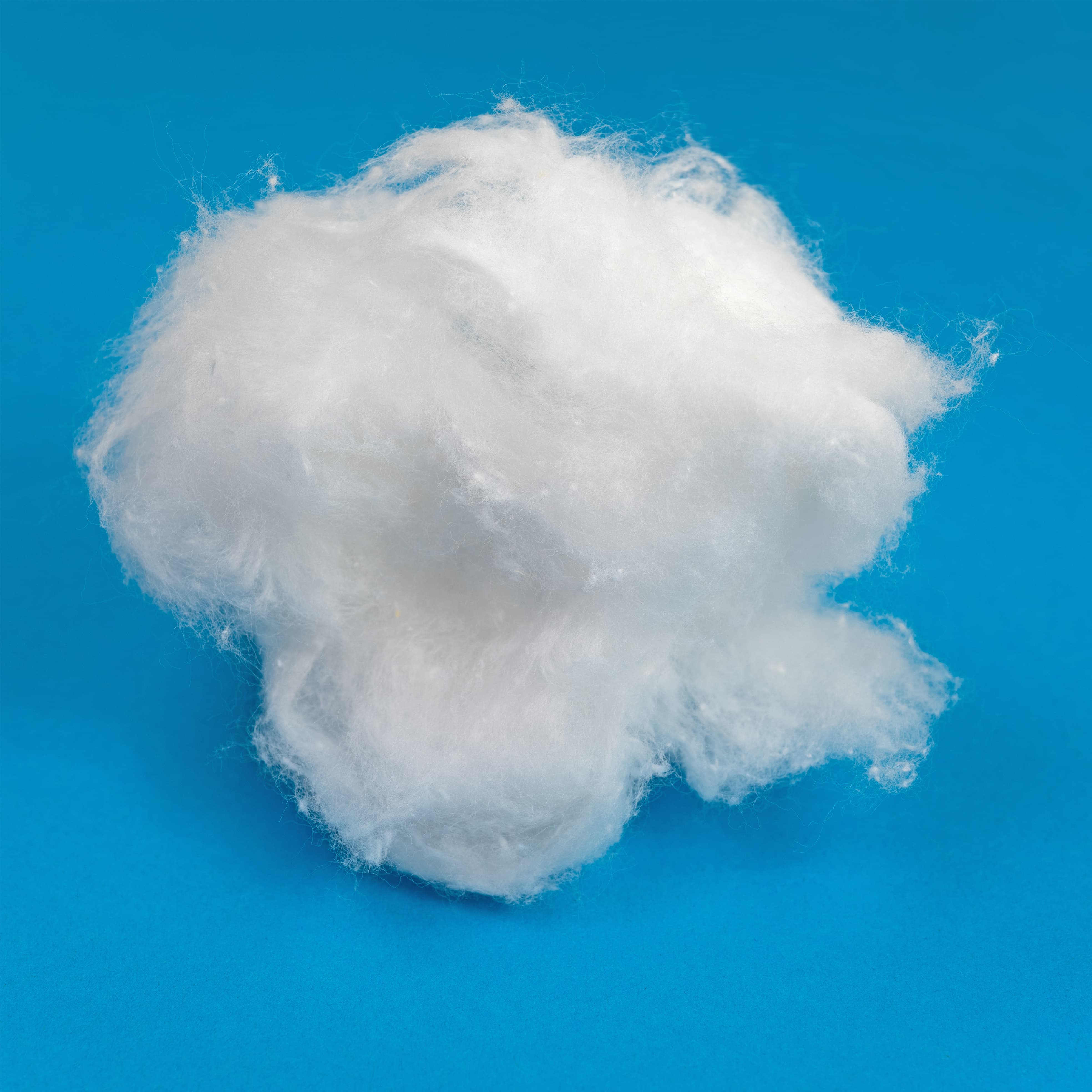 coton biologique