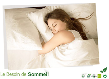 trouver oreiller