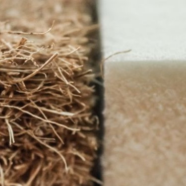 La fibre de coco utilisée dans nos matelas et surmatelas