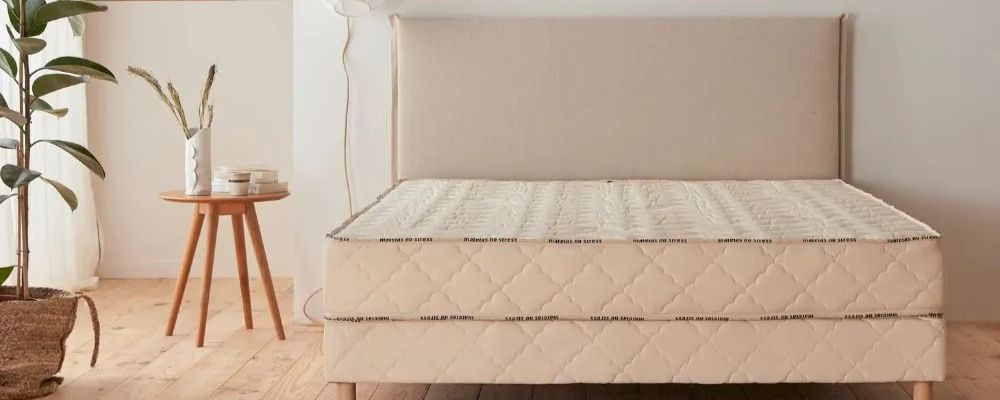 Top 5 Meilleur Matelas Latex 2026
