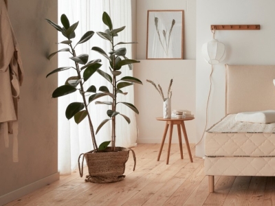 Nos matelas en coco ferme